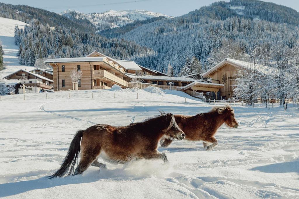 Mariengut - Natur Aparthotel Kramer Wagrain Exterior foto
